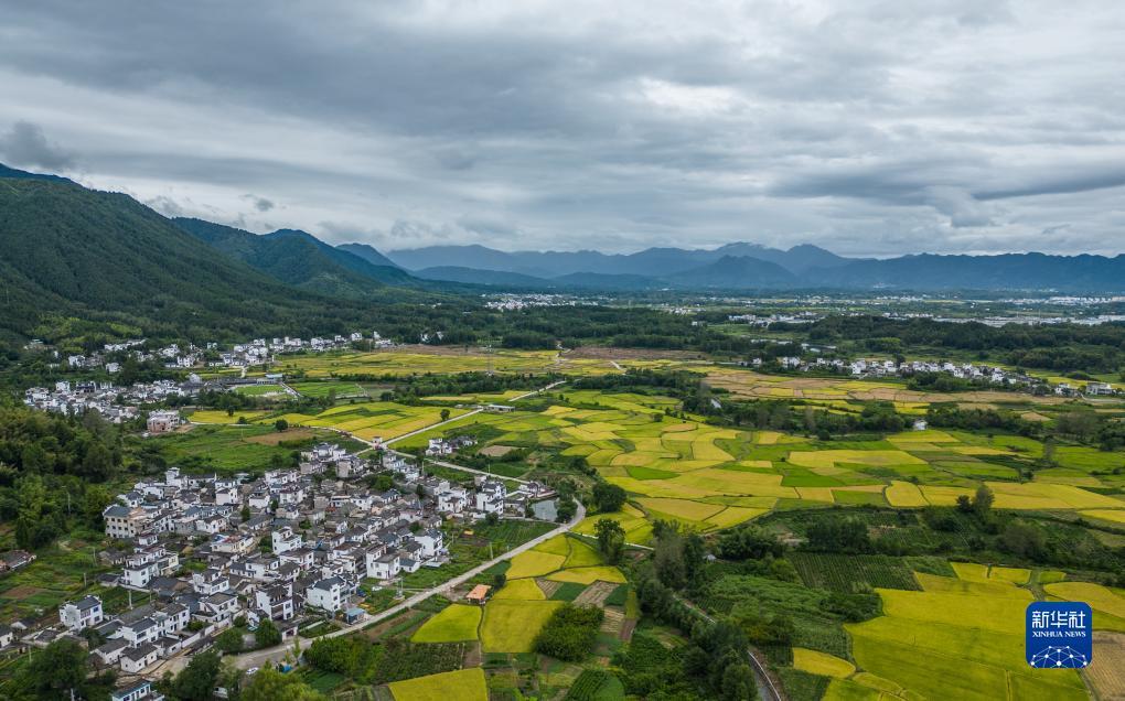 万人捕鱼下载